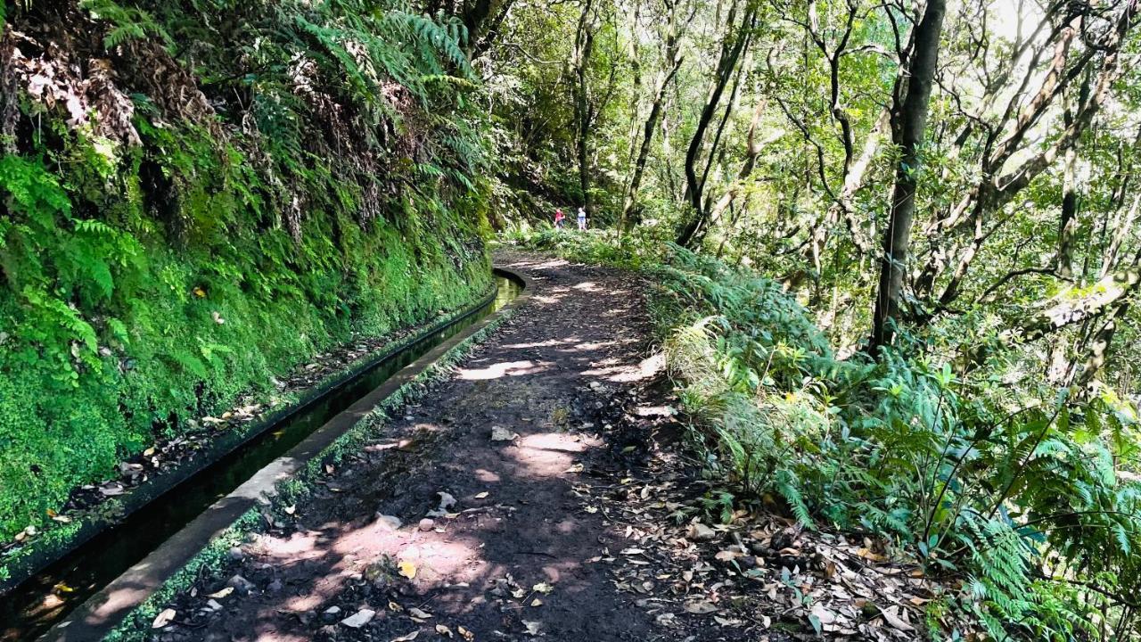 Porto Moniz Villa Buitenkant foto